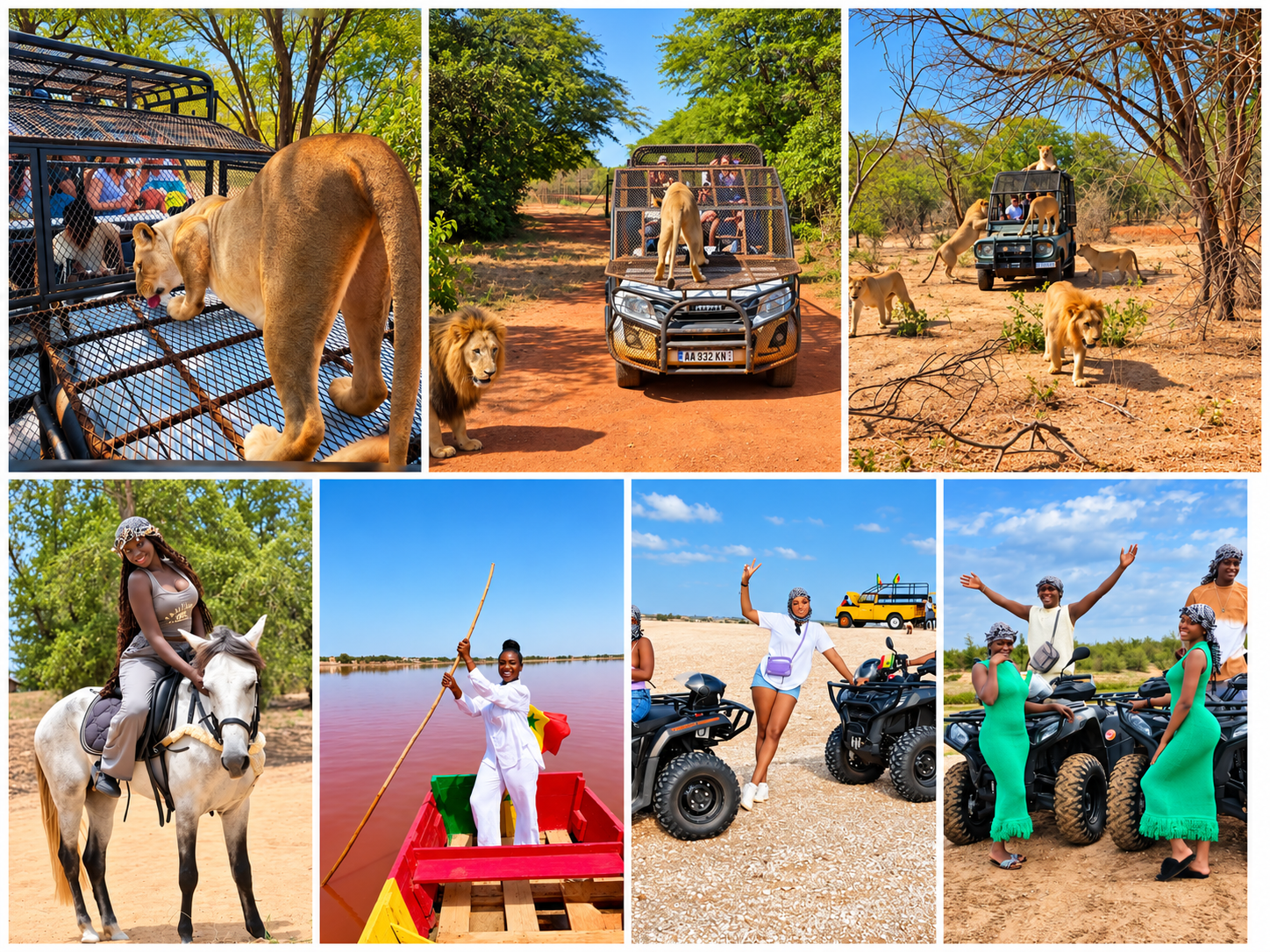 Lions au Ranch des Lions à Bandia, première étape de l'excursion privée depuis Dakar