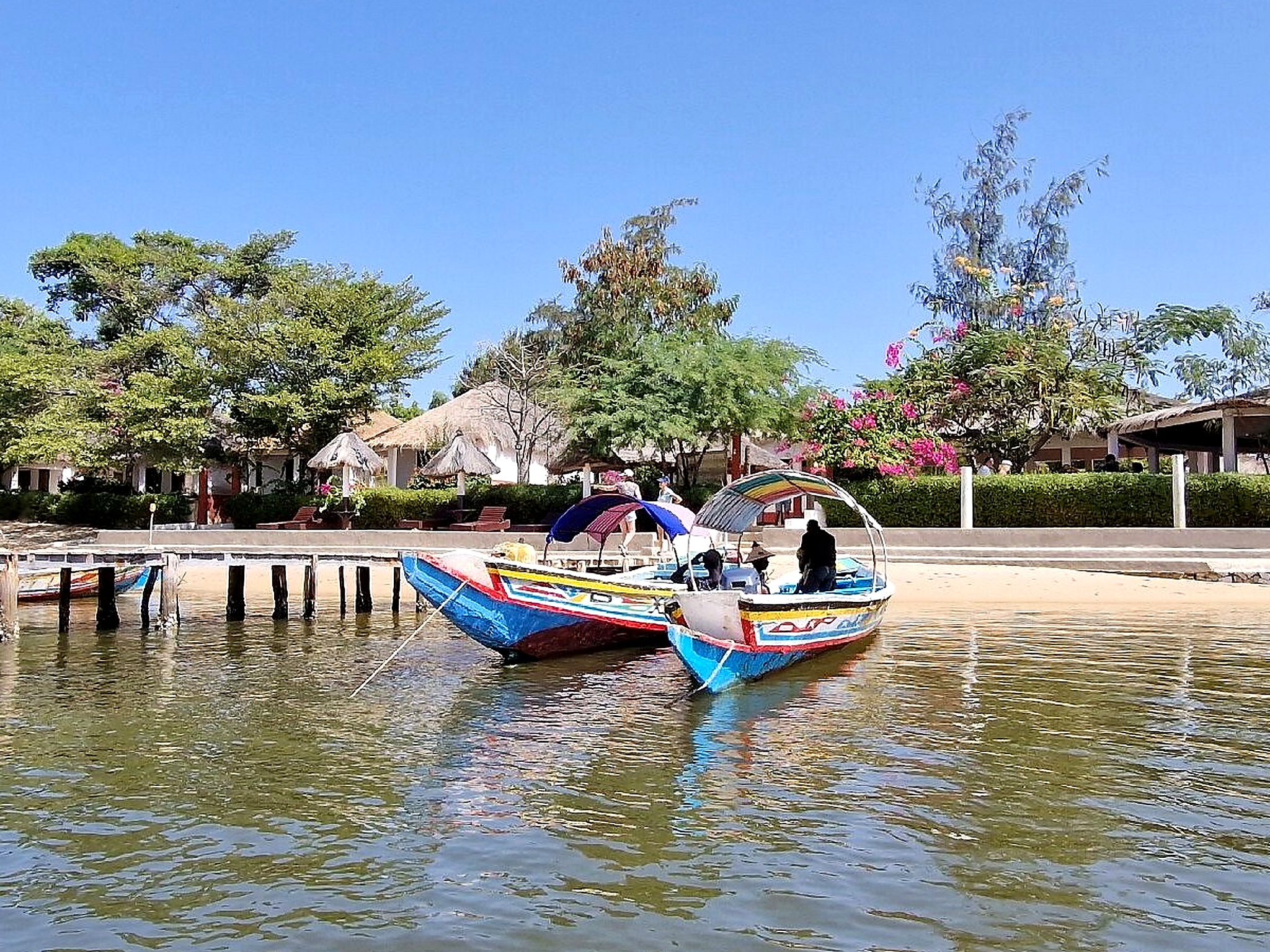 Colourful pirogues moored along the peaceful shore of Somone Lagoon