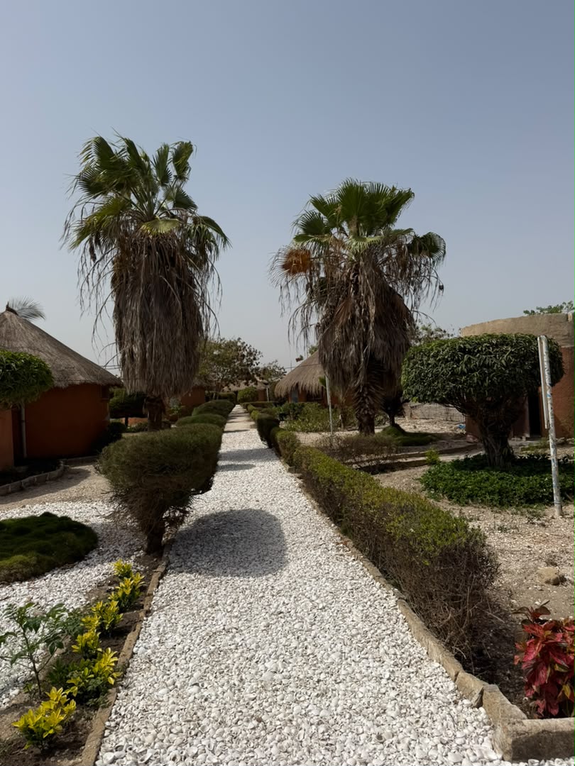 Allée bordée de palmiers de l'Hôtel Les Cristaux Roses au Lac Rose