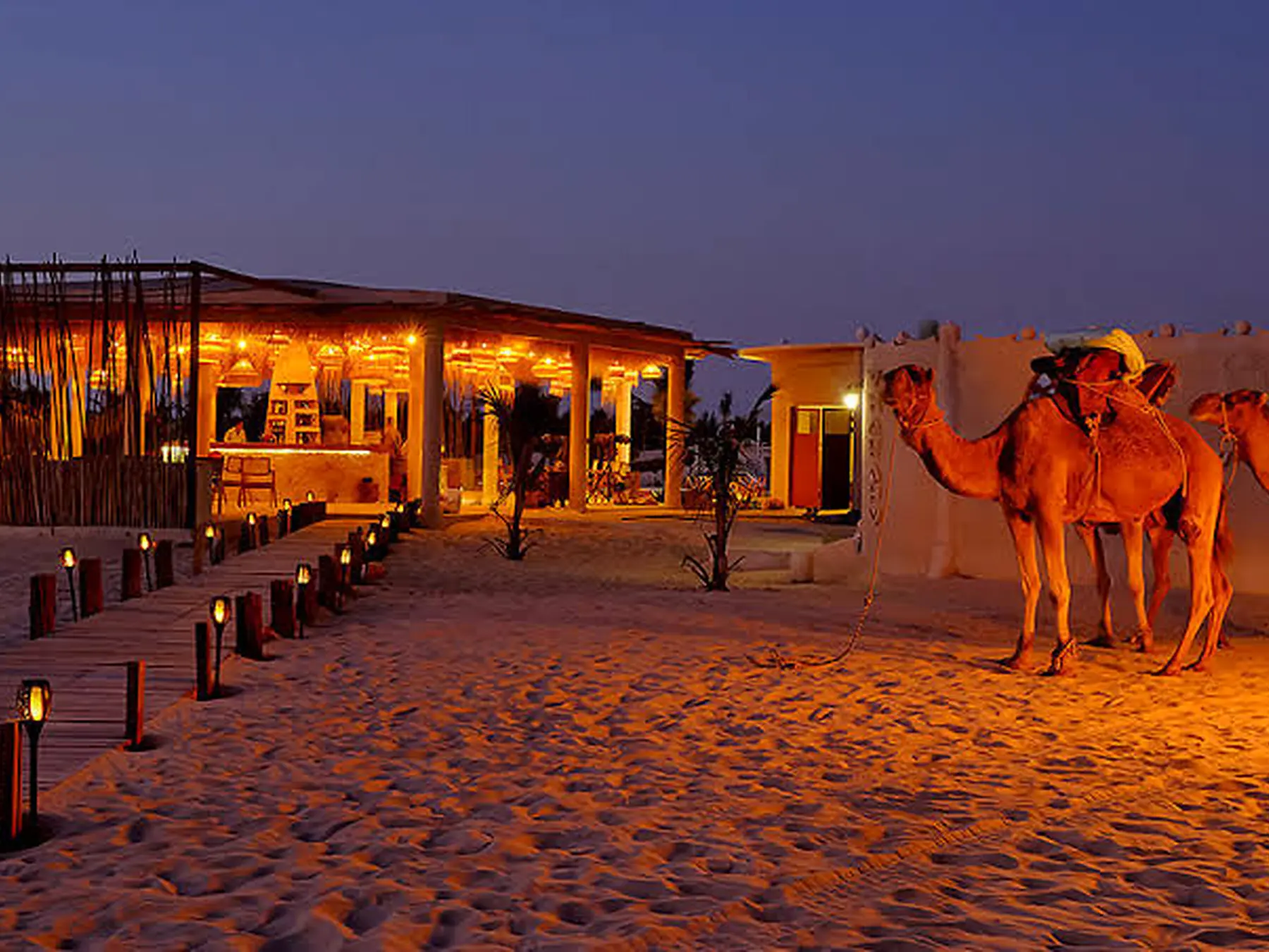 Dunas, campamento y aventura en el desierto de Lompoul, Senegal | Lac Rose Tour Aventure