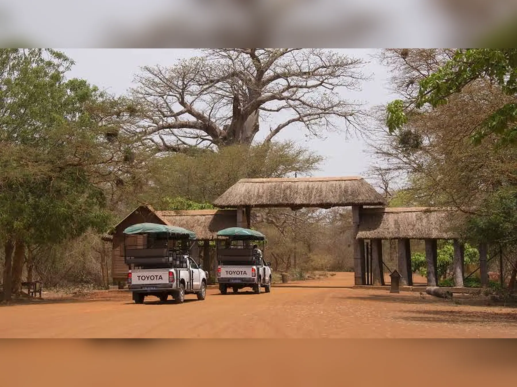 Vehículos de safari 4x4 a la entrada de la Reserva de Bandia, Senegal