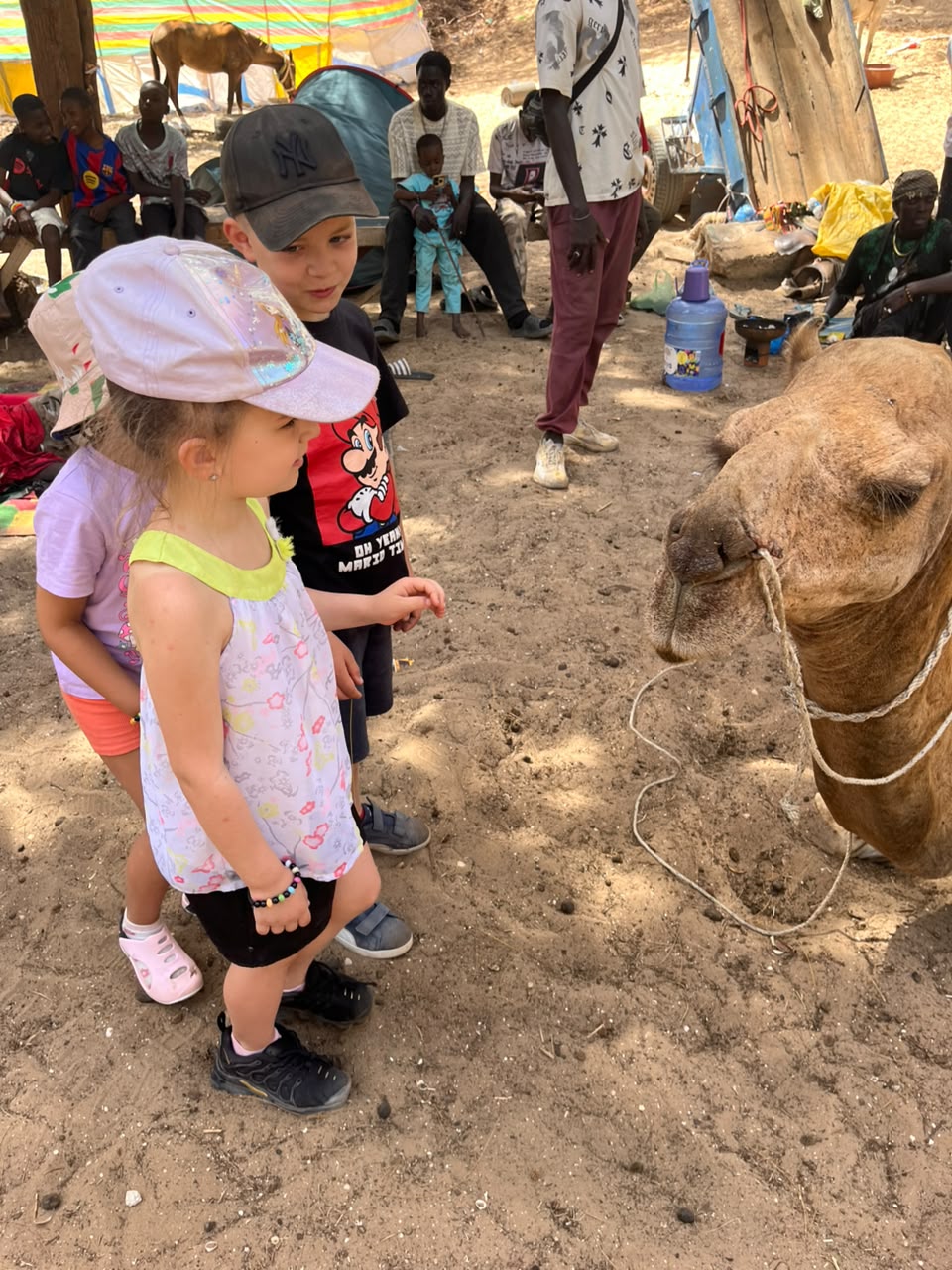 Enfants observant un dromadaire pendant une excursion familiale au Lac Rose