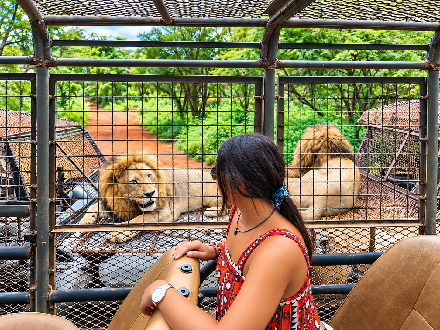 Lion près d'un véhicule sécurisé à Bandia