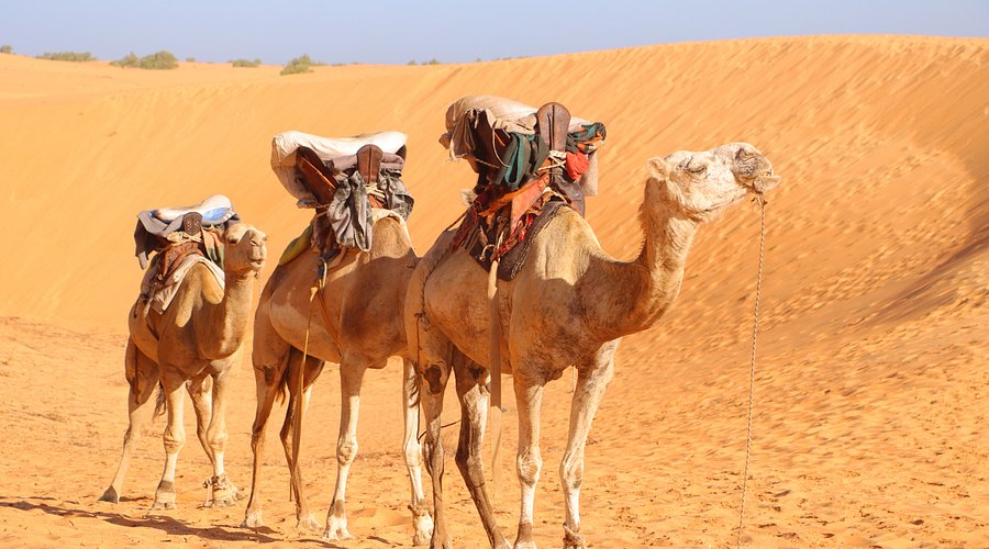 Paysage de Désert de Lompoul au Sénégal