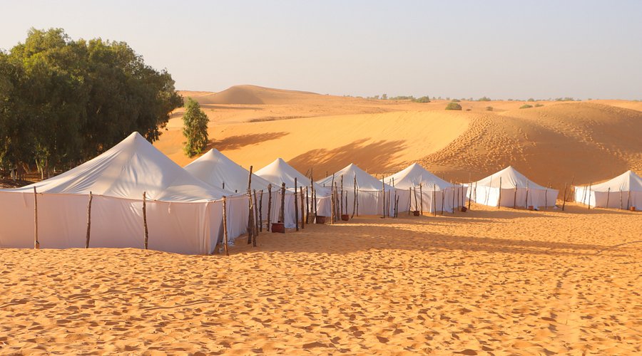 Dunes, campement et aventure dans le Désert de Lompoul au Sénégal | Lac Rose Tour Aventure