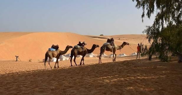 Dunes, campement et aventure dans le Désert de Lompoul au Sénégal | Lac Rose Tour Aventure
