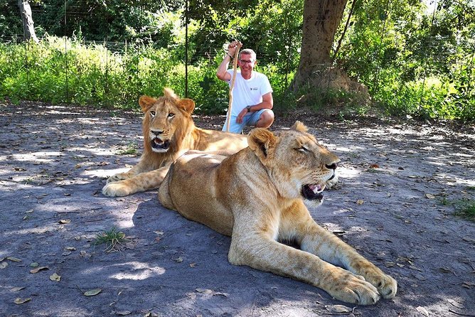 Safari, nature et faune sauvage dans la Réserve de Fathala au Sénégal | Lac Rose Tour Aventure
