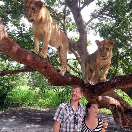 Safari, nature et faune sauvage dans la Réserve de Fathala au Sénégal | Lac Rose Tour Aventure
