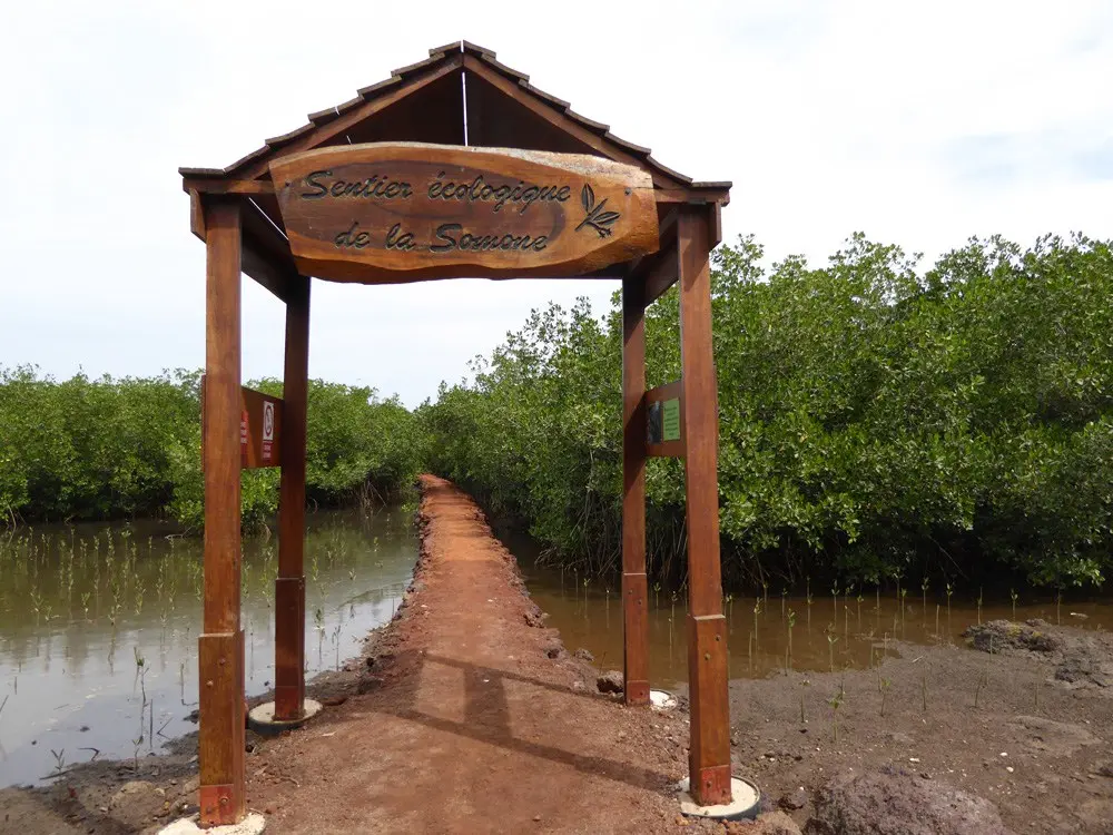 Accès à la lagune de Somone entre mangrove, nature et paysages préservés de la Petite Côte
