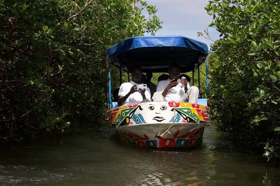 Balade en pirogue au cœur de la mangrove et de la lagune de Somone au Sénégal