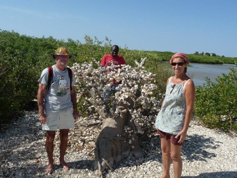 Visiteurs découvrant les paysages et l'environnement naturel de Somone au Sénégal