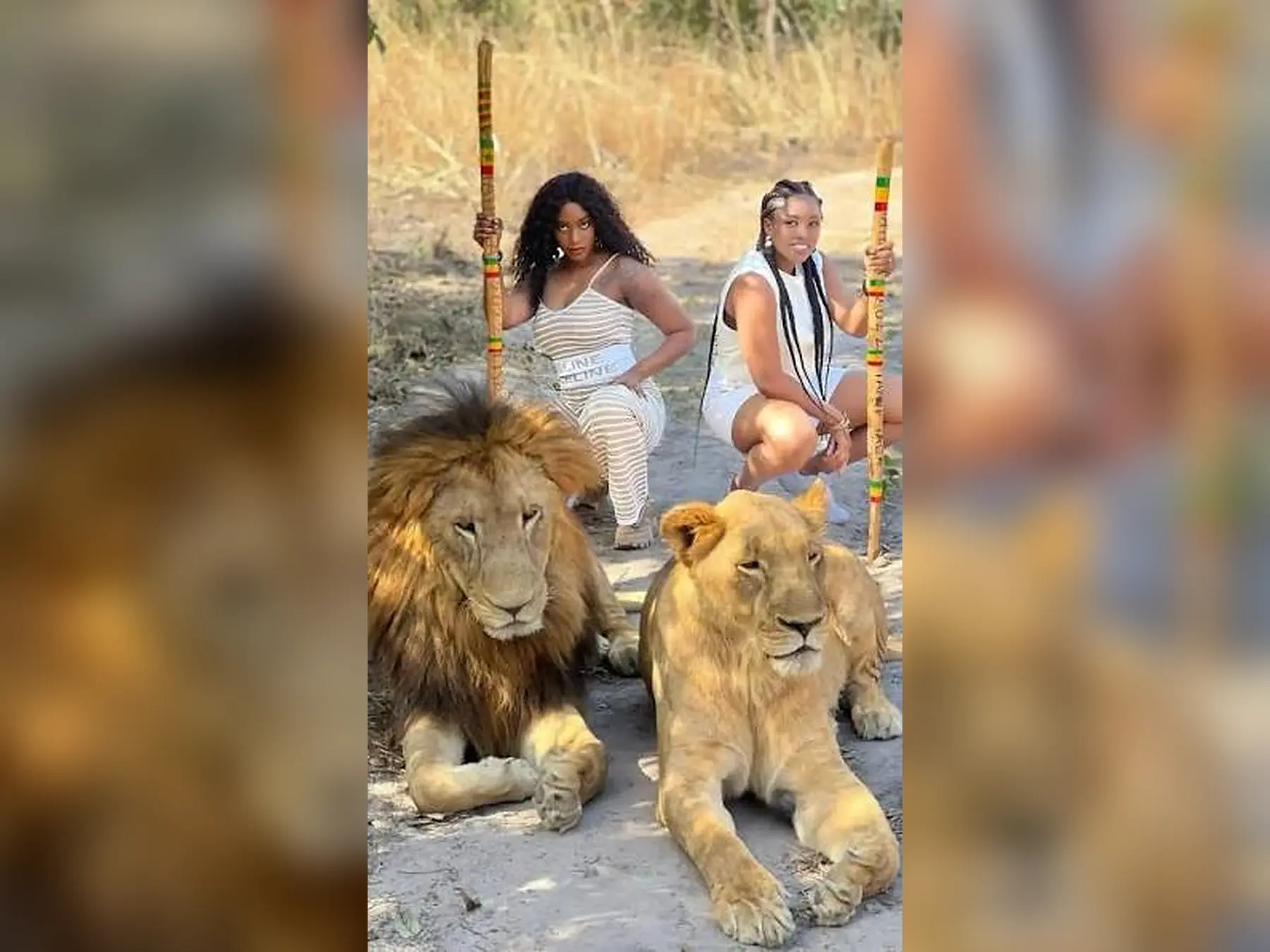 Safari, naturaleza y fauna en la Reserva de Fathala, Senegal | Lac Rose Tour Aventure