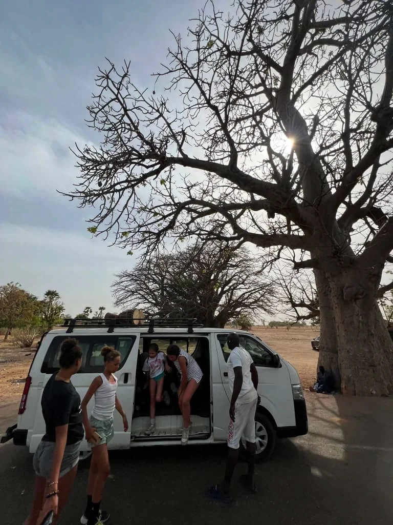 Transport des voyageurs et visite du baobab sacré sur la route de Mar Lodj au Sine Saloum