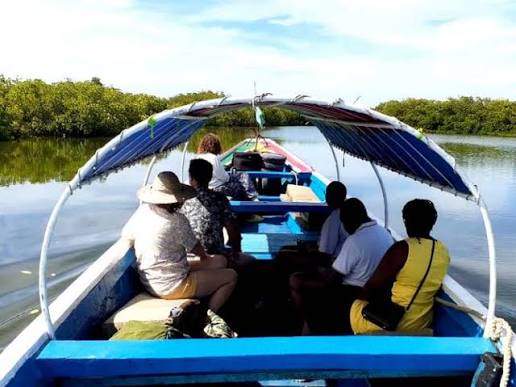 Excursión al Sine Saloum: naturaleza, cultura y desconexión