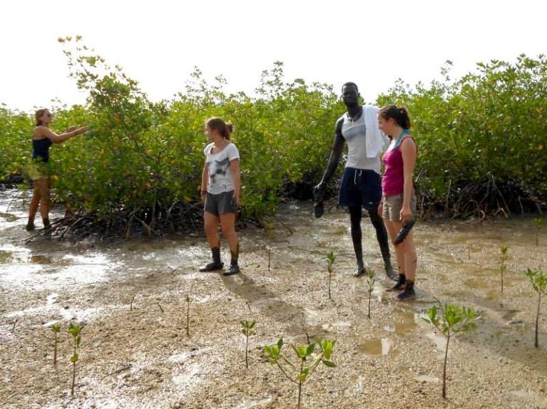 Excursión al Sine Saloum: naturaleza, cultura y desconexión