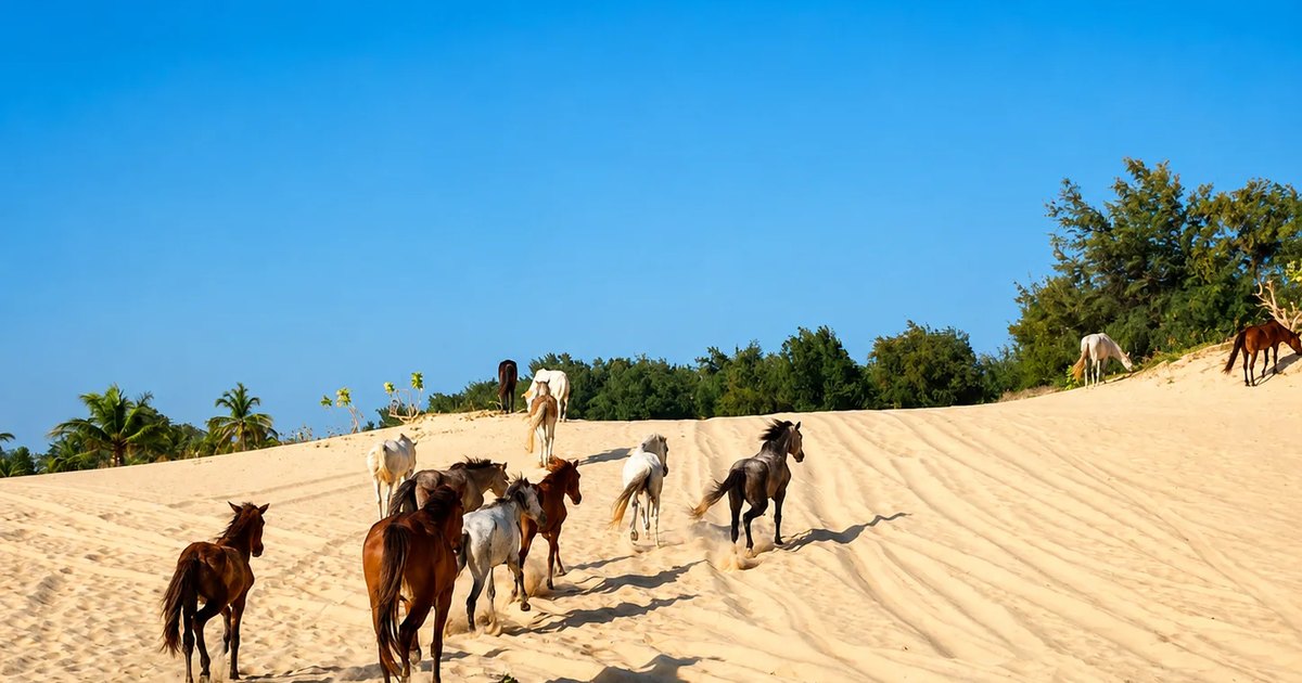 Randonnée à cheval en groupe dans les dunes proches du Lac Rose