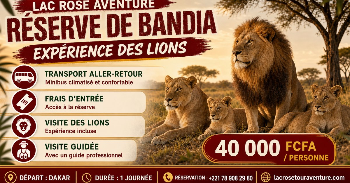 Affiche de l’expérience guidée des lions à Bandia depuis Dakar au tarif de 40 000 FCFA par personne