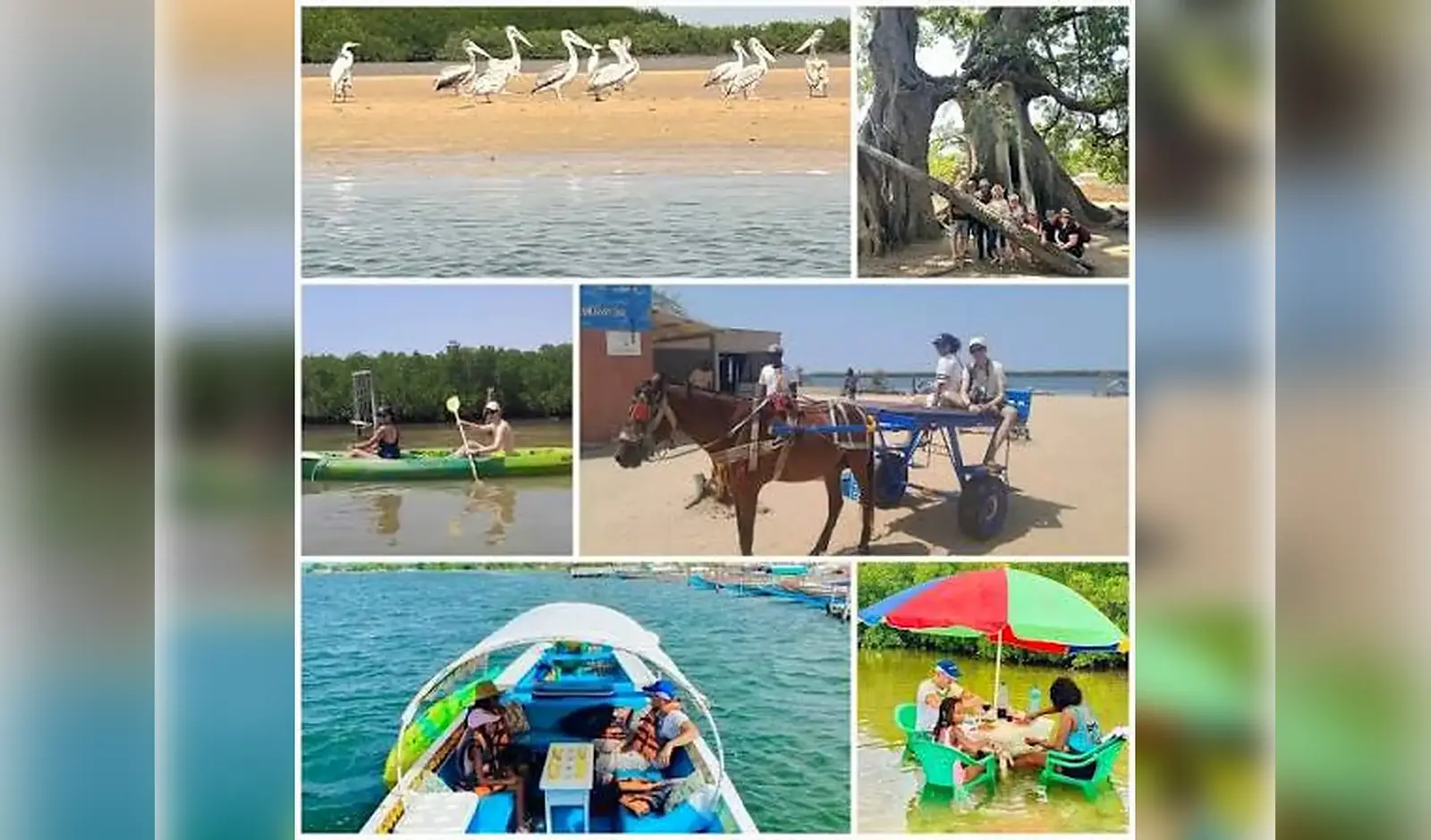 Paysage et expérience locale à Sine Saloum, Sénégal