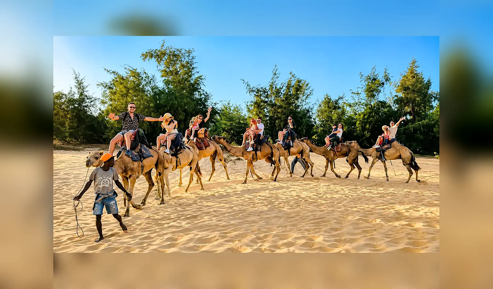 Balade à dos de dromadaire dans les dunes à Lac Rose, Sénégal