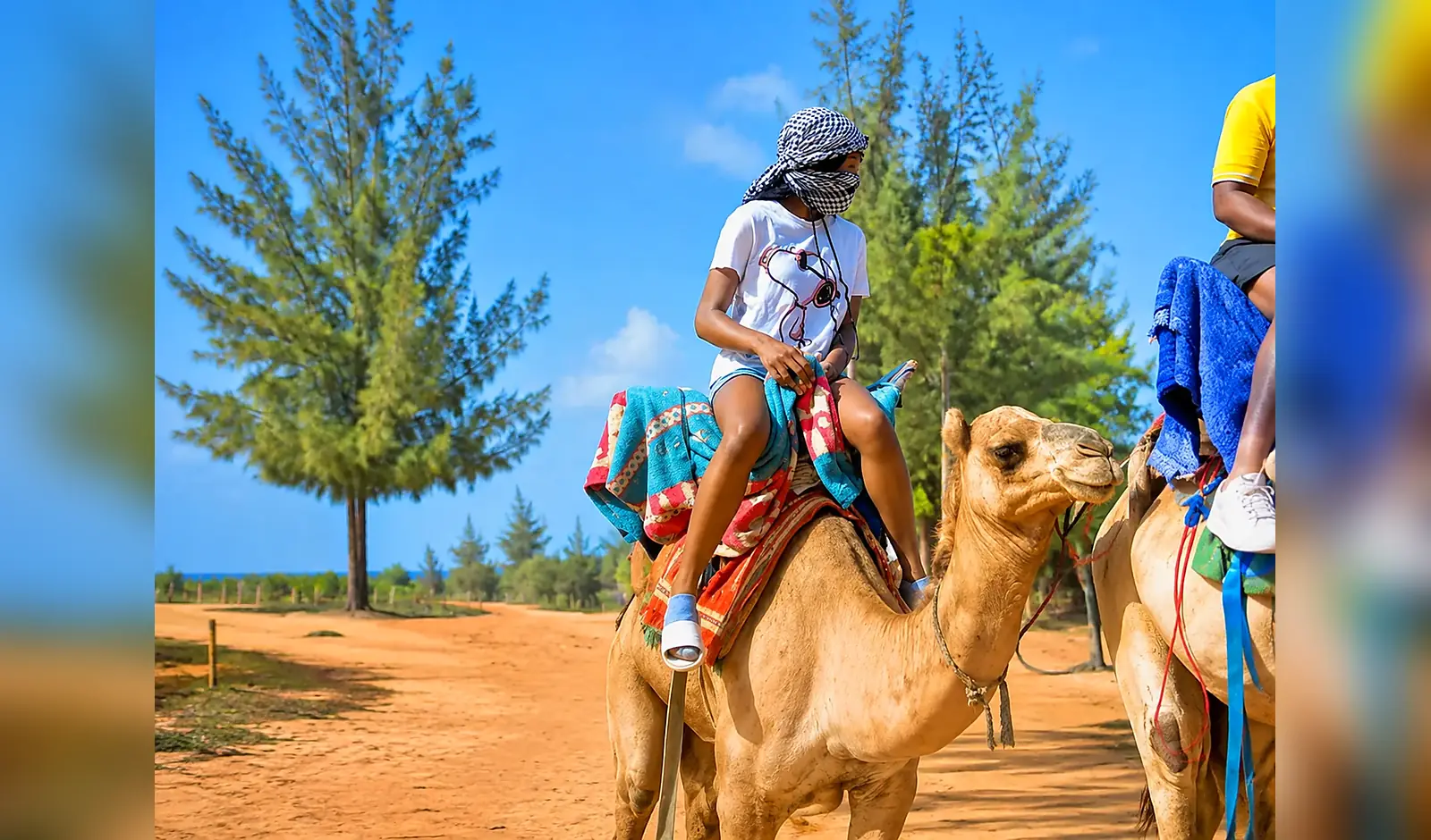 Balade à dos de dromadaire dans les dunes à Lac Rose, Sénégal