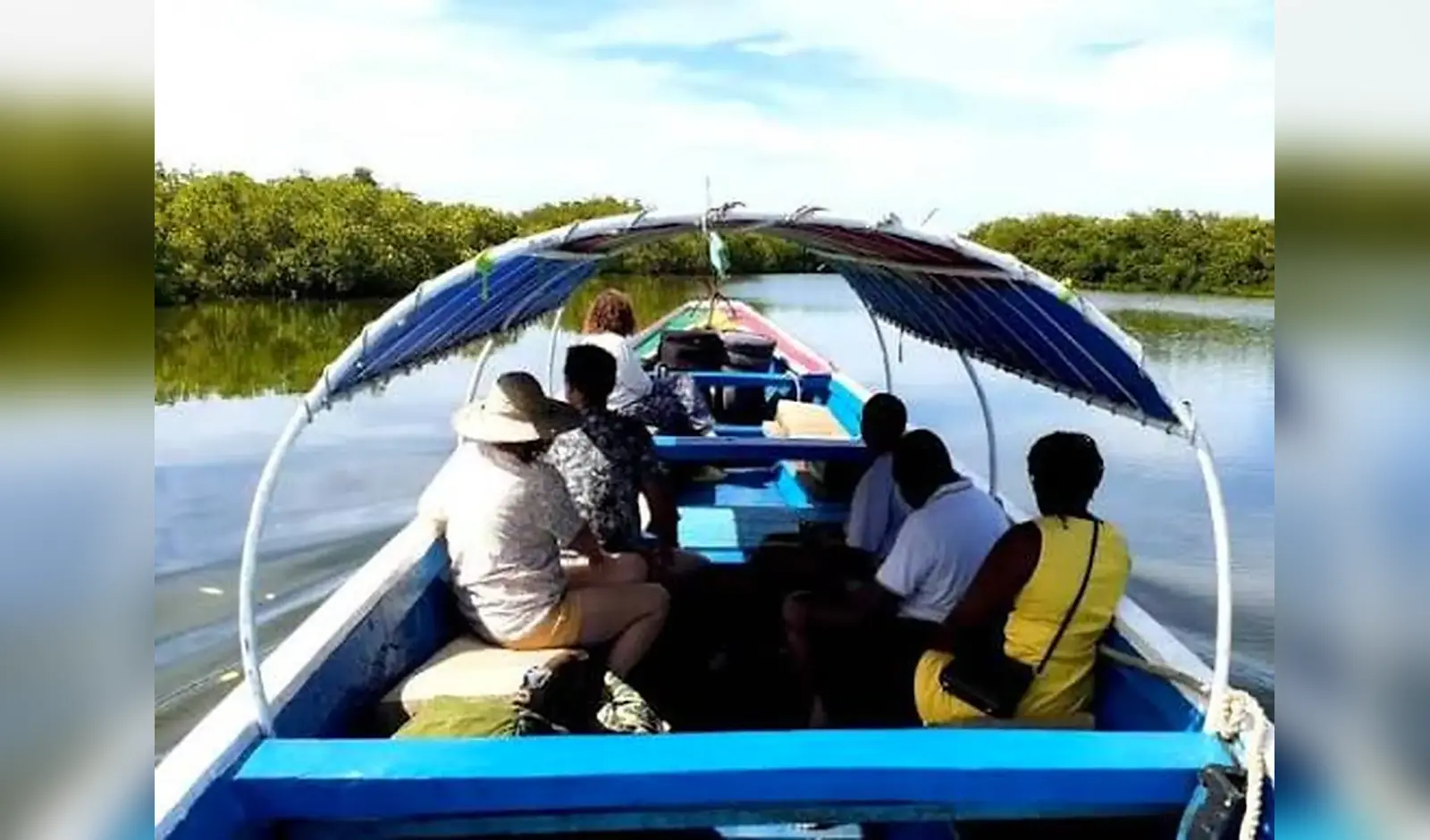 Balade en pirogue dans la mangrove à Sine Saloum, Sénégal