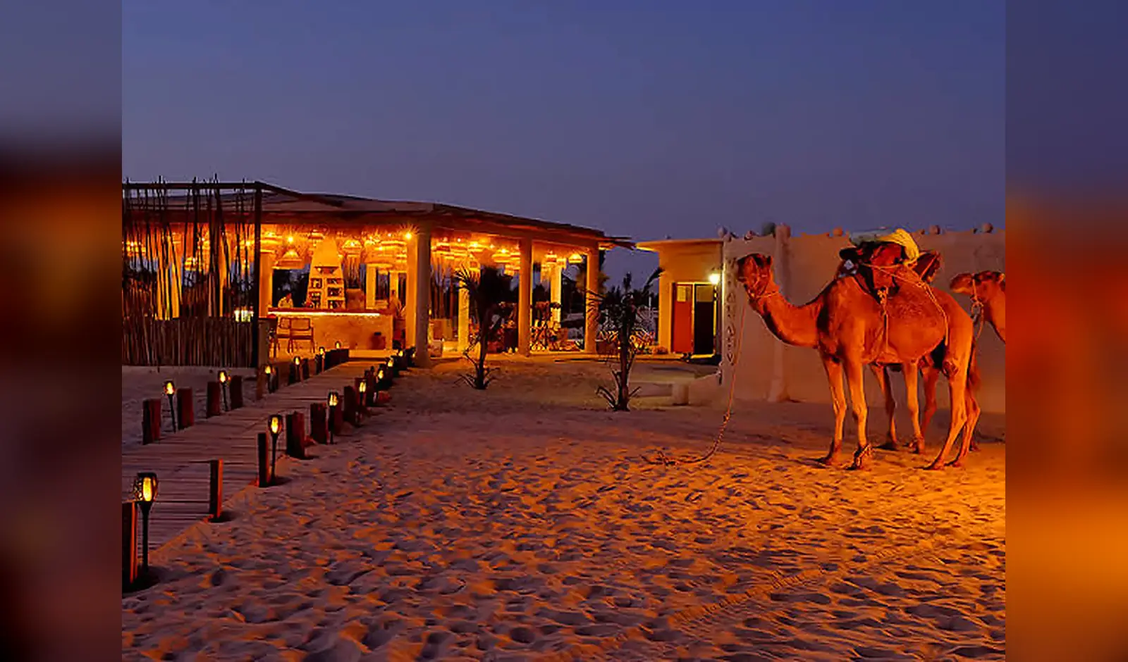 Balade à dos de dromadaire dans les dunes à Lac Rose, Sénégal
