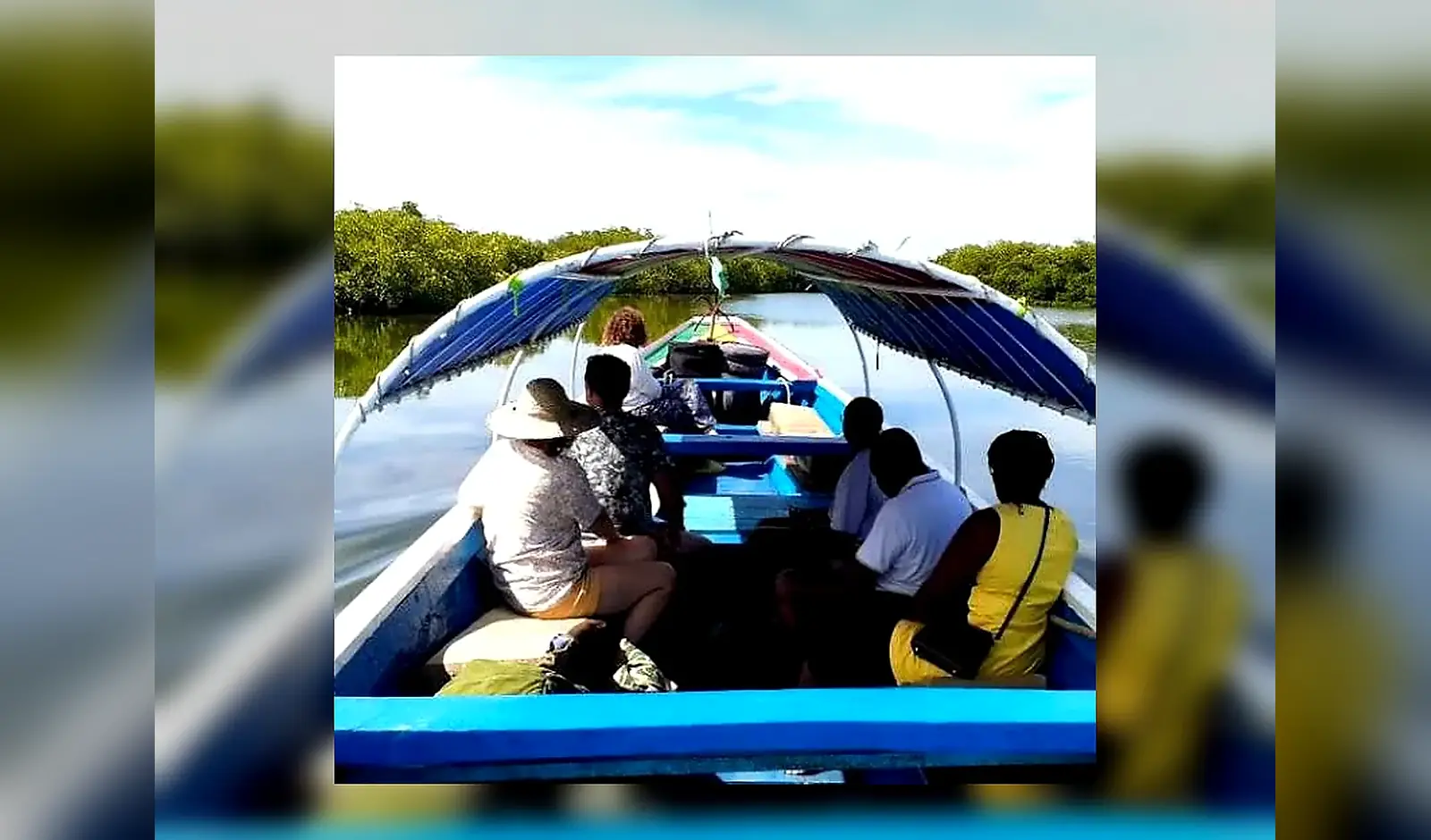 Balade en pirogue dans la mangrove à Sine Saloum, Sénégal