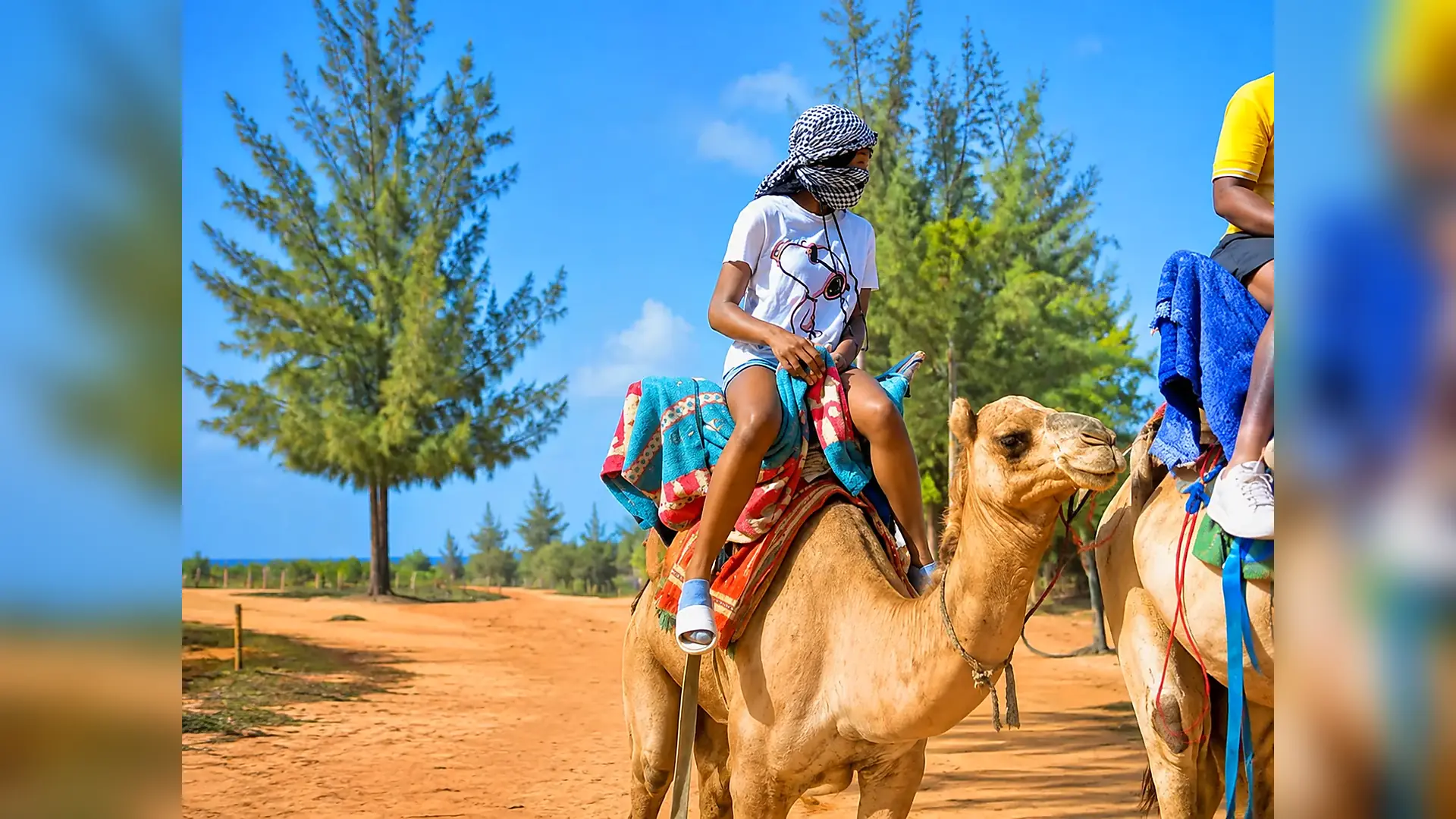 Paseo en dromedario por las dunas en Lago Rosa, Senegal