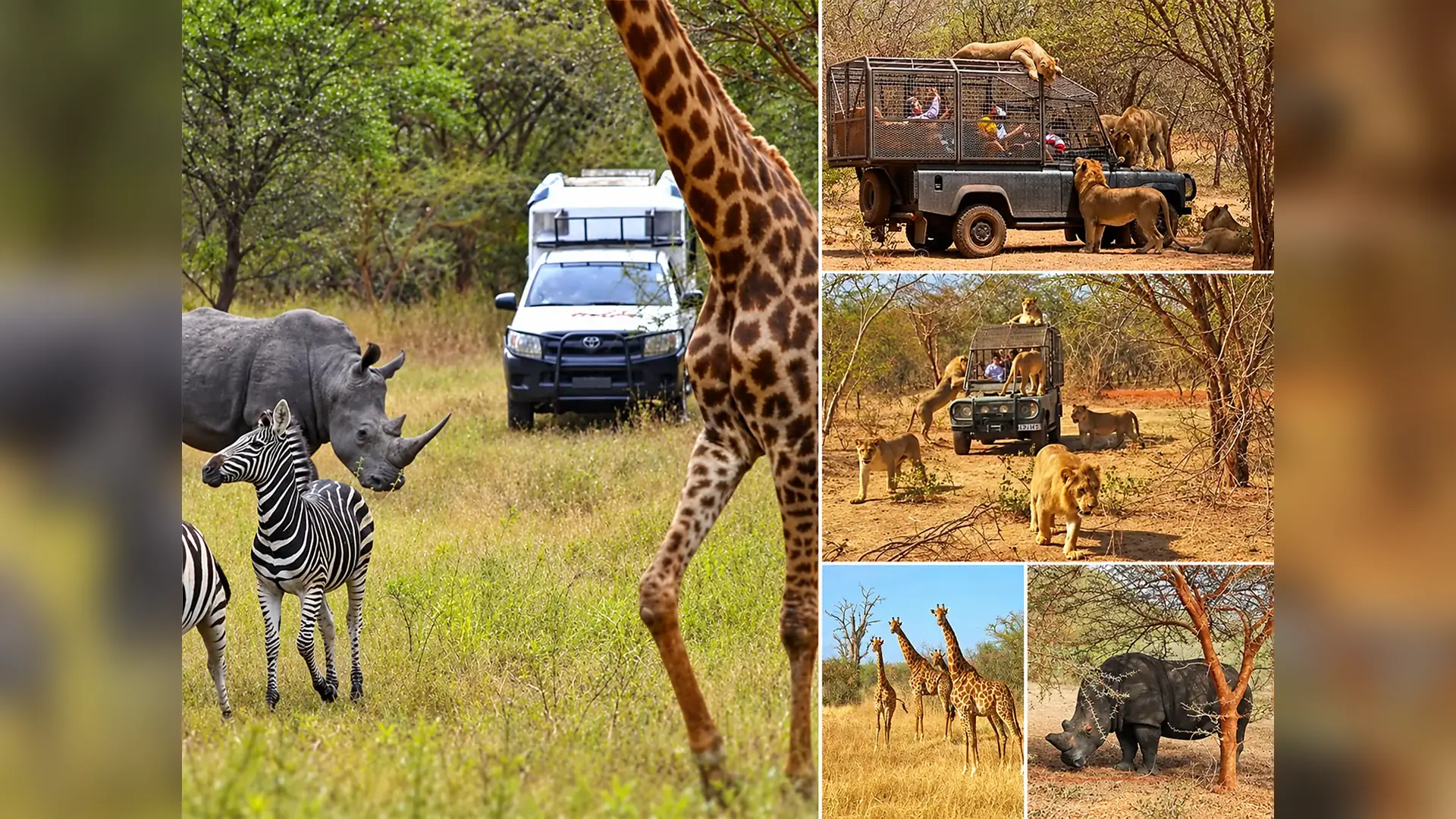 Guided safari through the reserve in Bandia Wildlife Reserve, Senegal