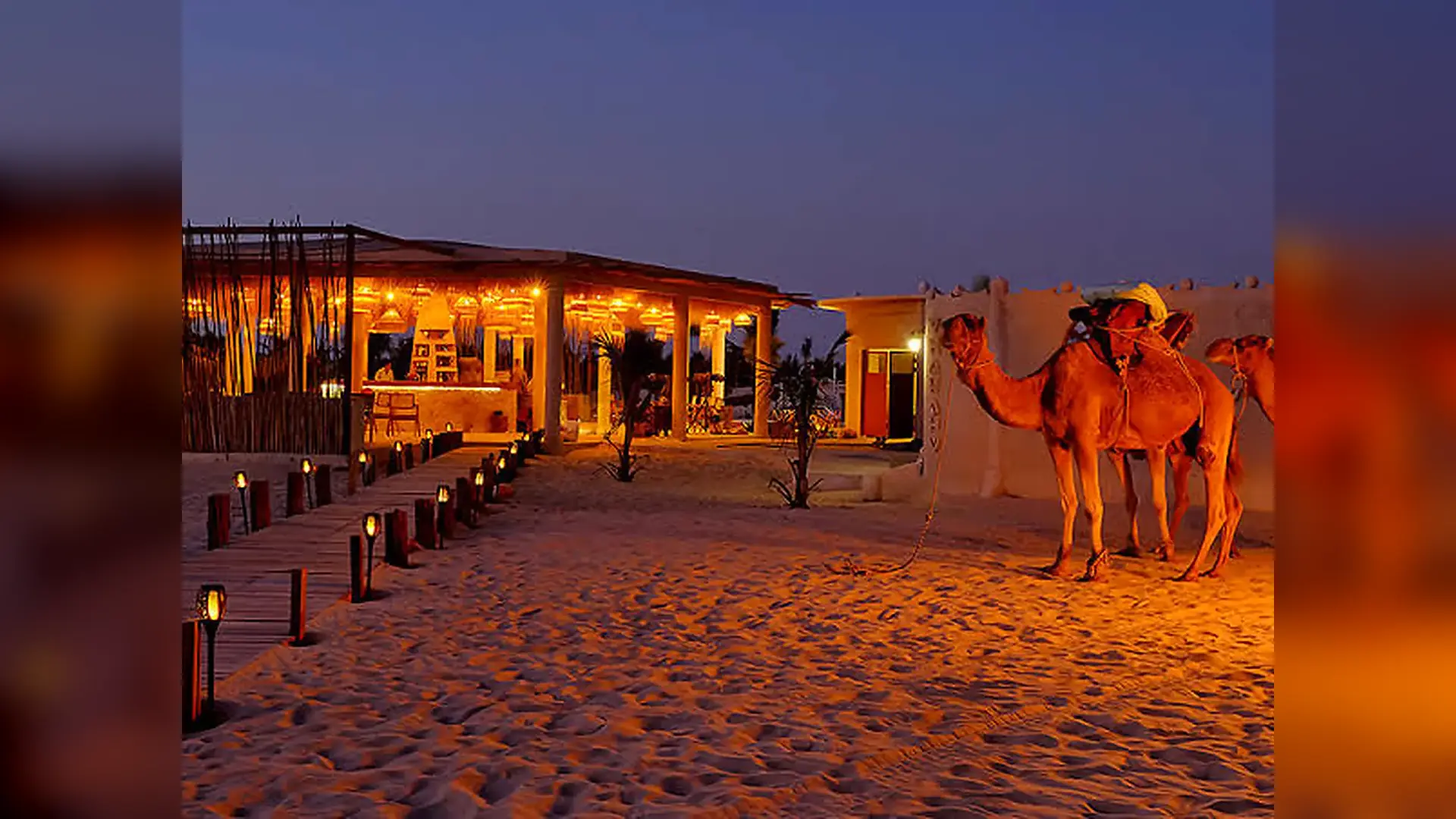 Camel ride through the dunes in Lompoul Desert, Senegal
