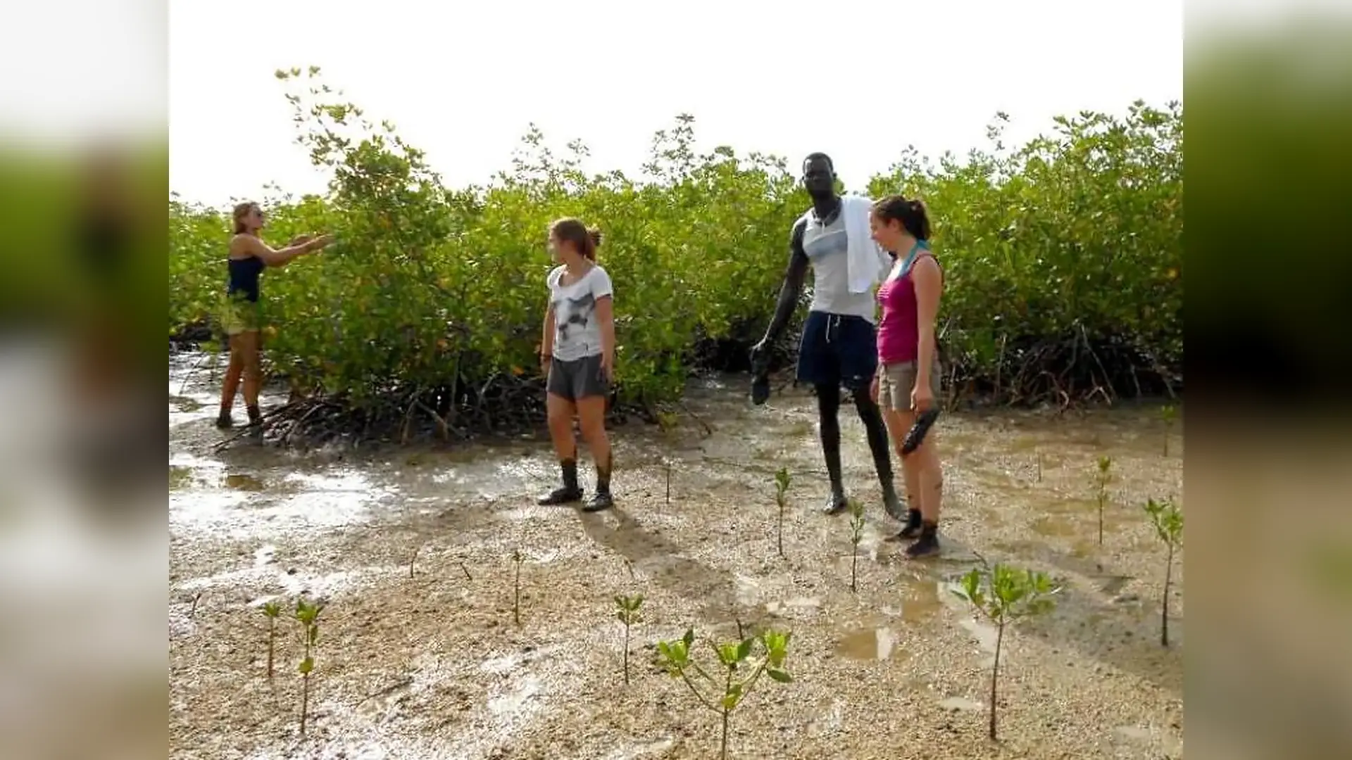 Paseo en piragua entre manglares en Circuitos combinados por Senegal, Senegal