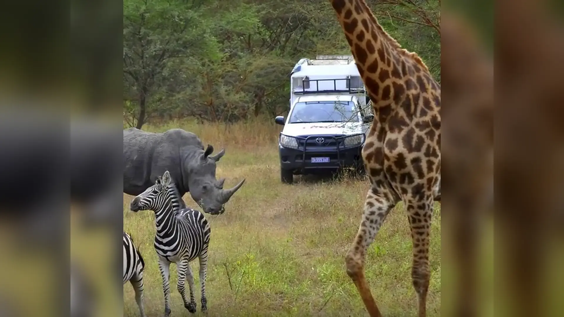 Wildlife viewed in the reserve in Bandia Wildlife Reserve, Senegal